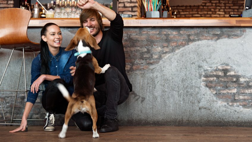Couple playing with a dog at the club.
