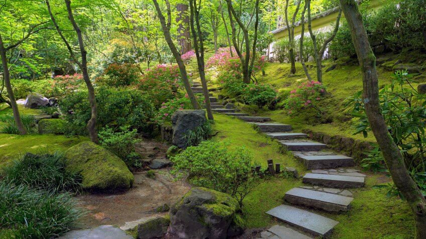 Stone Stair Steps at Portland Japanese Garden in Spring Season Oregon United States America.