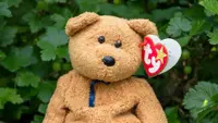 9 Most Expensive Beanie Babies
