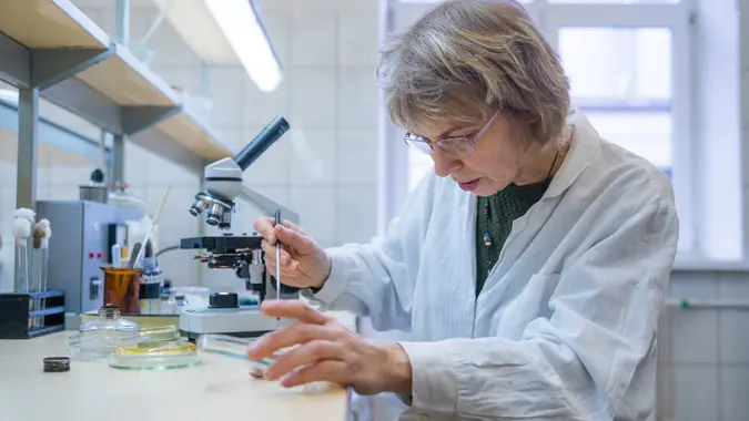 older woman, scientist, working with the microscope and bacterial culture in the college microbiology laboratory.