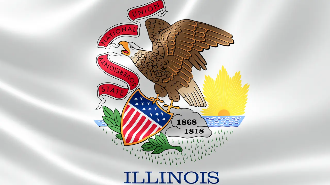 Illinois State Flag
