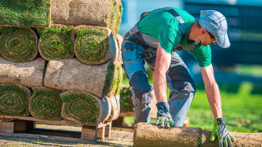 Natural Grass Turf Professional Installer.