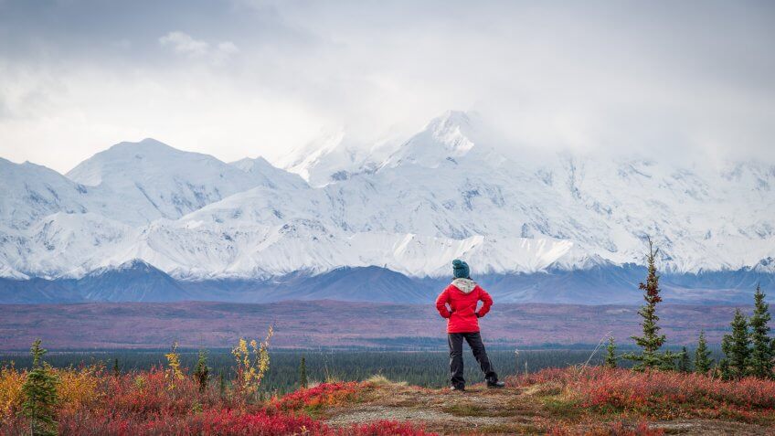 Hiker at mountain top with direct view of the Denali Mountain.