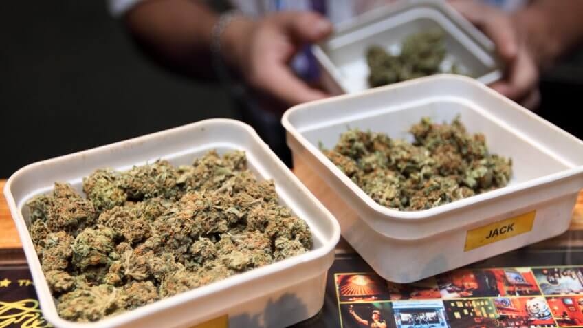 legal recreational marijuana budtender