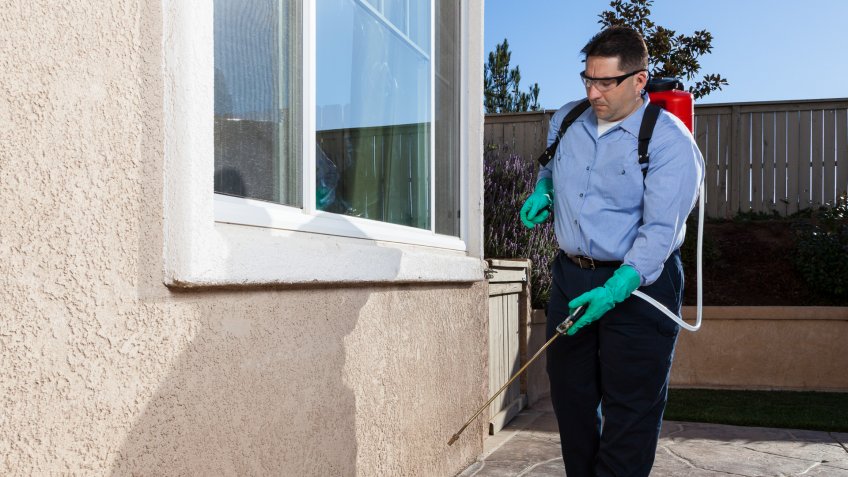 Man treating house for pest control.