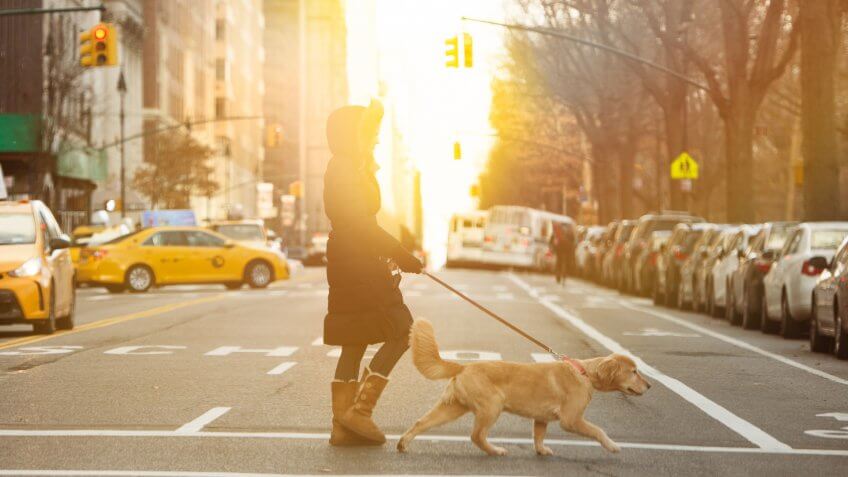 Walking the dog.