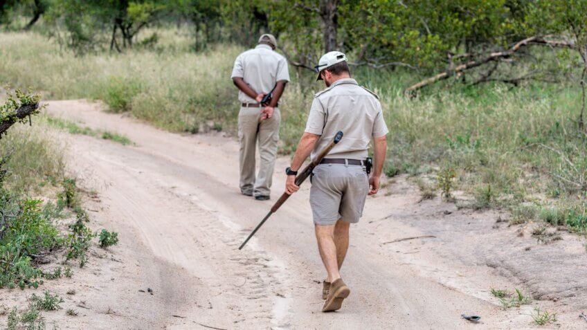 Animal trackers and African anti-poaching safari