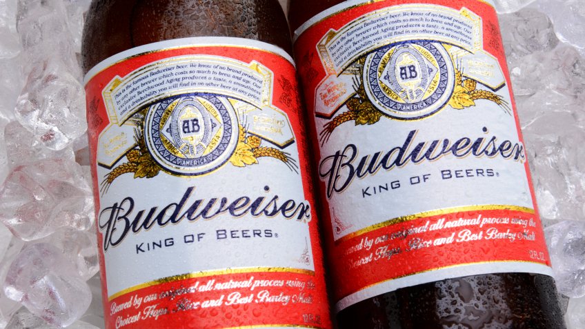 IRVINE, CA - MAY 27, 2014: Two bottles of Budweiser on a bed of ice.