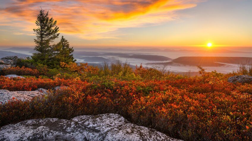 Dolly Sods Wilderness West Virginia