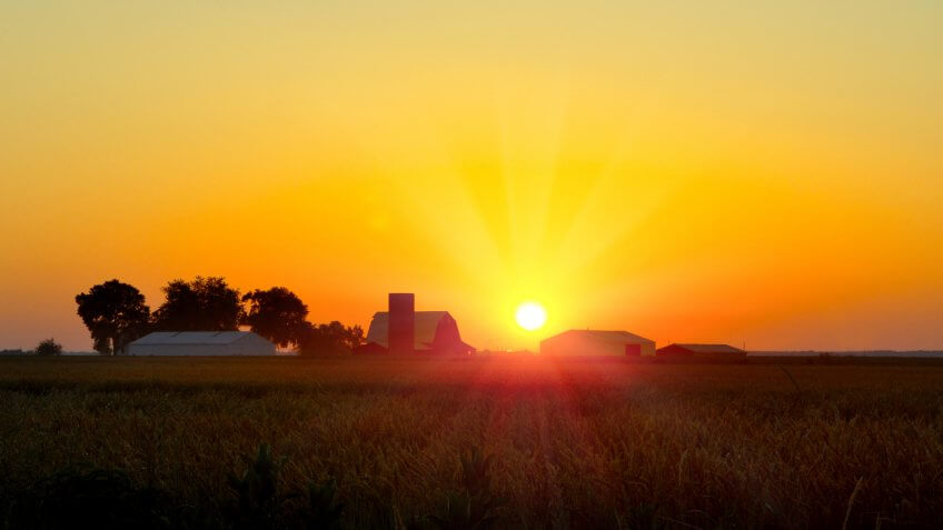 Iowa corn field