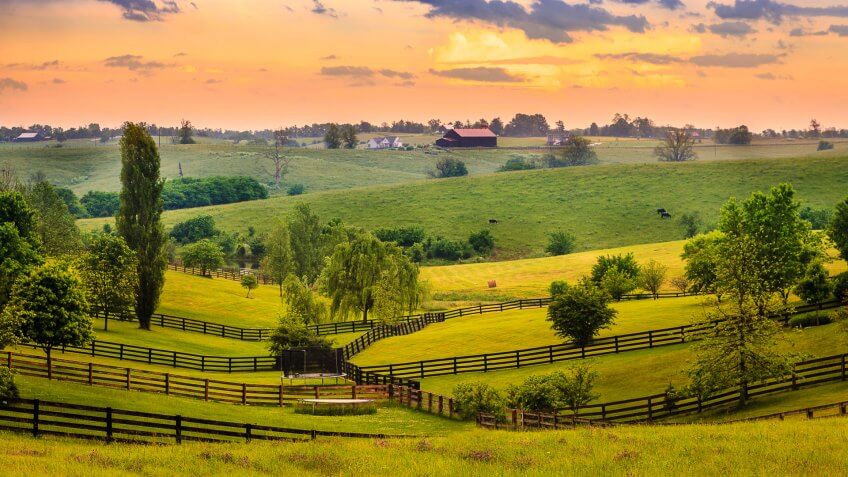 Beautiful evening scene in Kentucky's Bluegrass region.