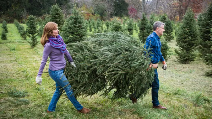 Mature Couple at Christmas Tree Farm