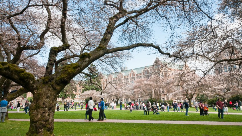 University of Washington campus