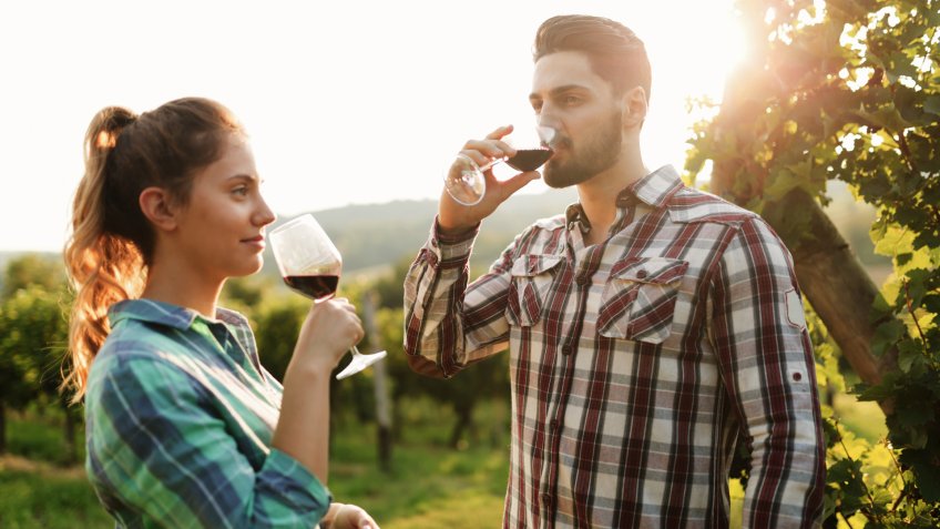 private wine tasting tour