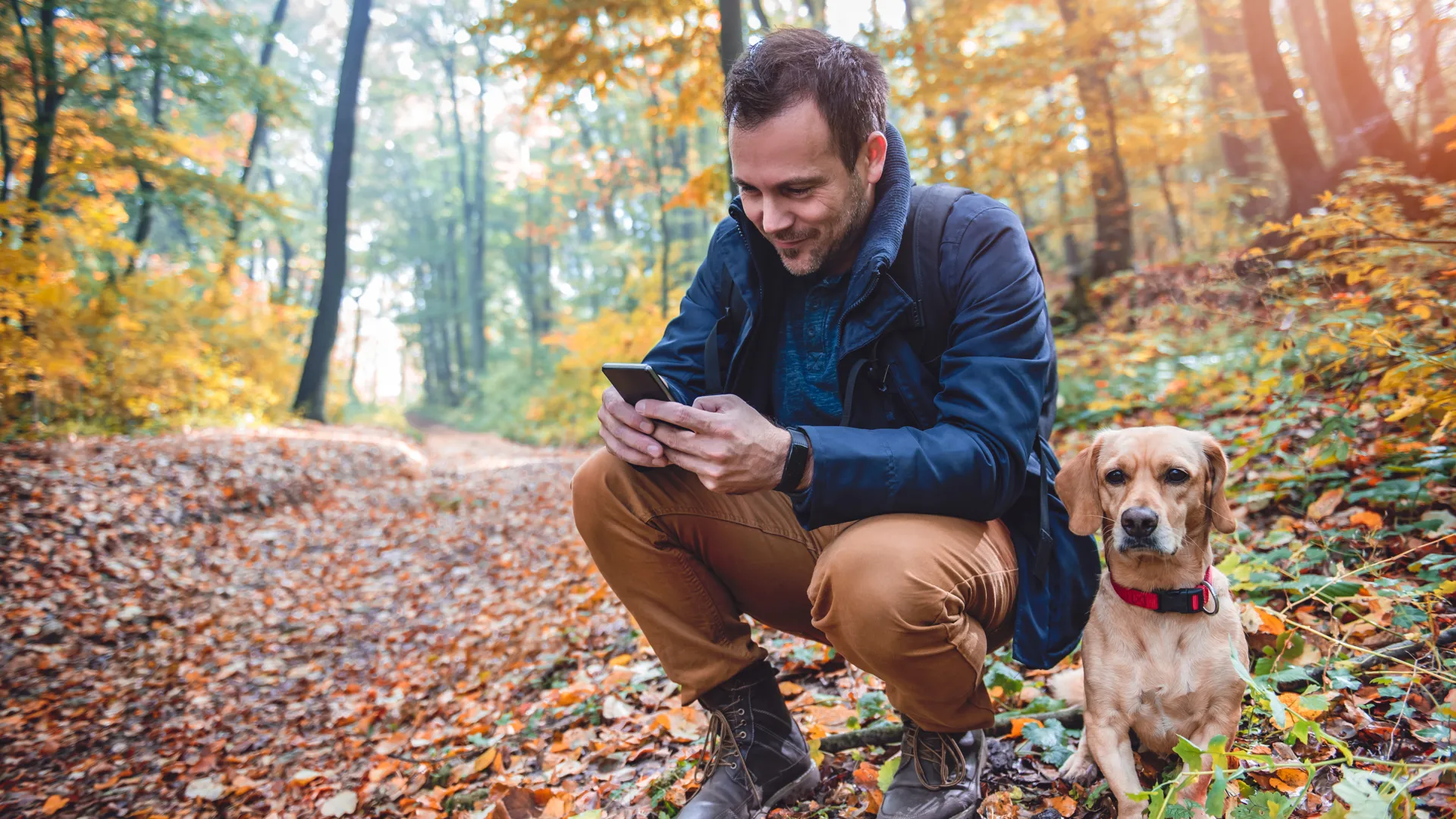 Man Squatting Next To small yellow Dog and using phone in autumn forest.