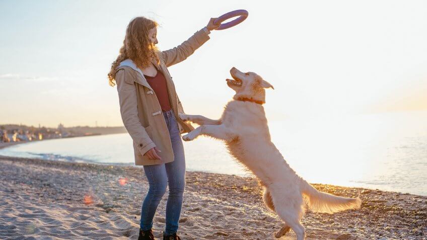 happy woman playing with her dog on the beach