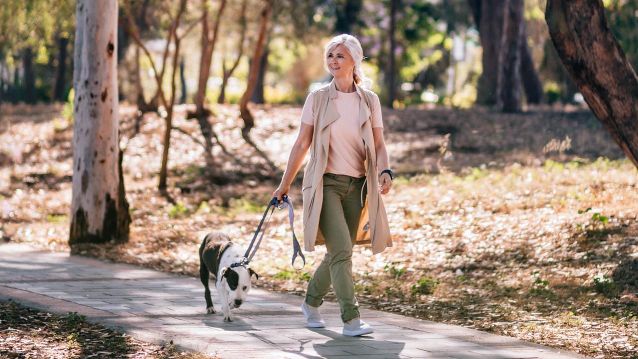 Happy active mature woman in fashionable clothes walking pet dog in forest park in summer.