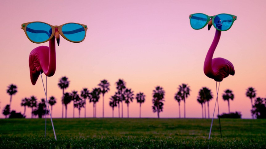 This is a photo of two plastic pink flamingos with sunglasses.