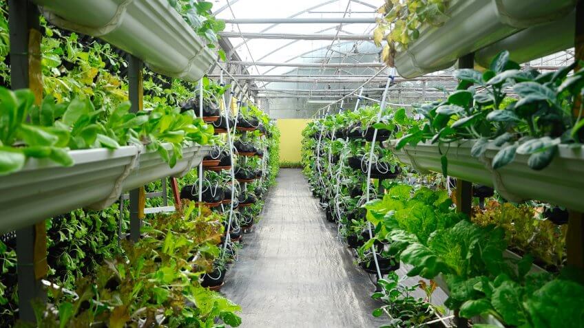 vertical farming of various plants and produce