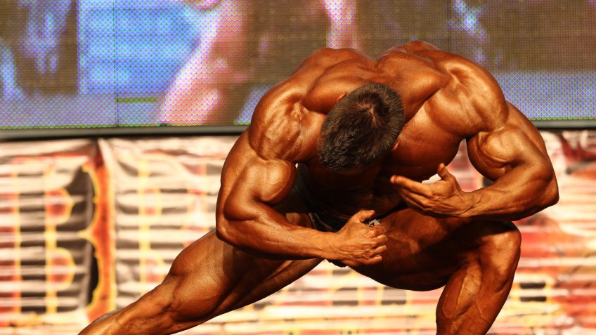 body buildier in Hungary