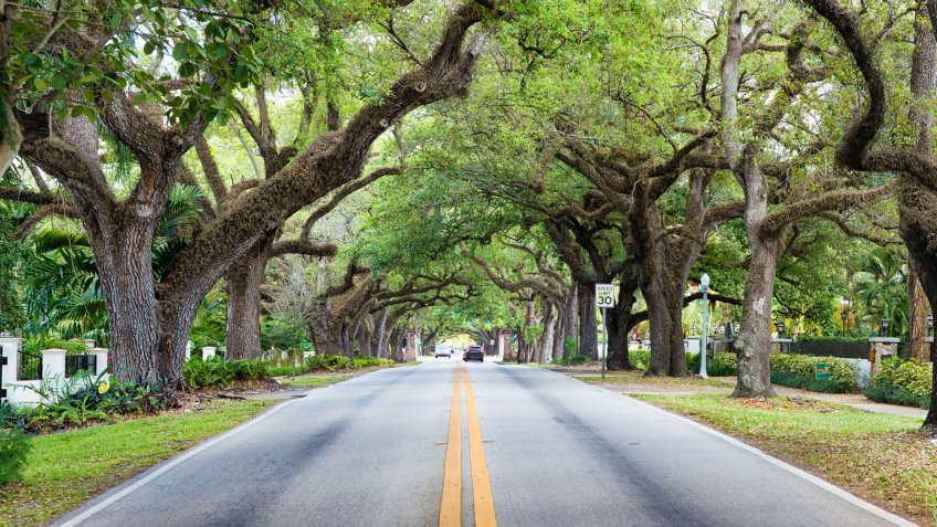Miami Coral Gables street under tree canopy panorama with a speed limit sign and distant cars.