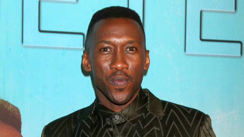 LOS ANGELES - JAN 10: Mahershala Ali at the "True Detective" Season 3 Premiere Screening at the Directors Guild of America on January 10, 2019 in Los Angeles, CA - Image.