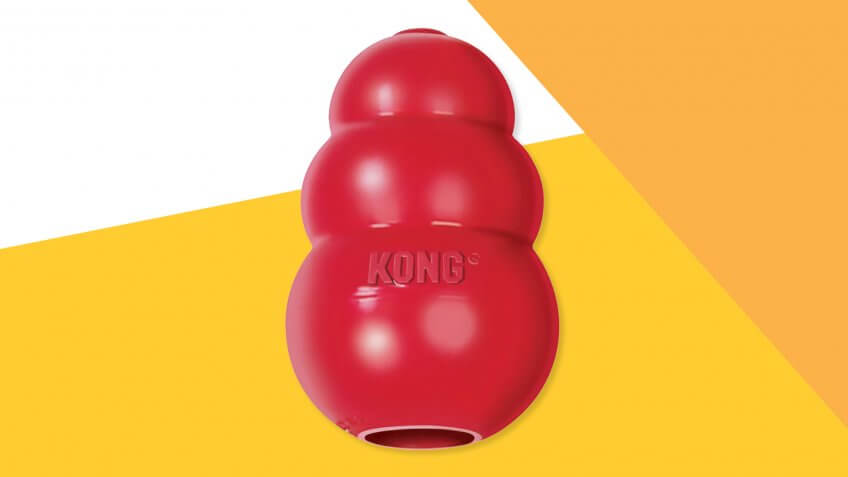 KONG Classic Dog Toy.