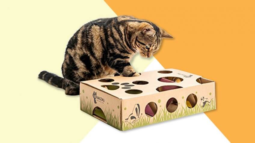 Cat Amazing – Best Cat Toy Ever! Interactive Treat Maze & Puzzle Feeder for Cats.