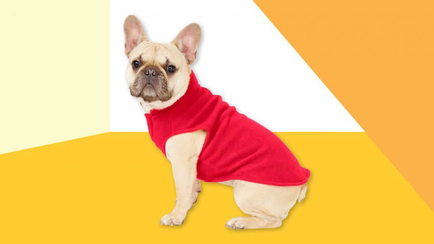Frisco Dog & Cat Fleece Vest.
