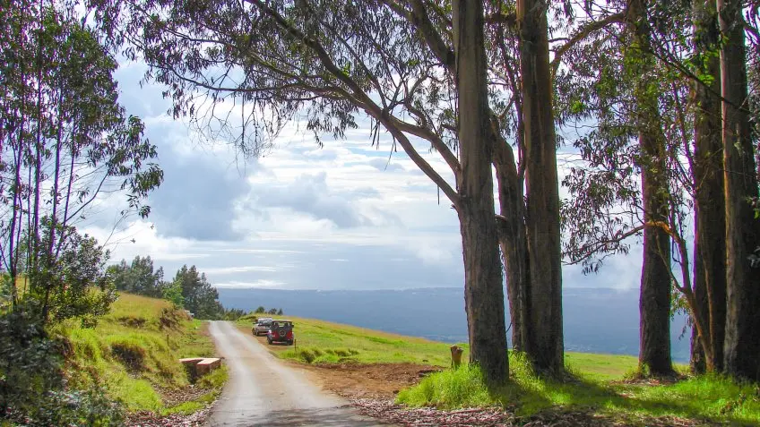 Polipoli Spring State Recreation Area