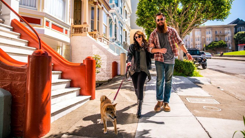 A couple with a dog on a city walk.