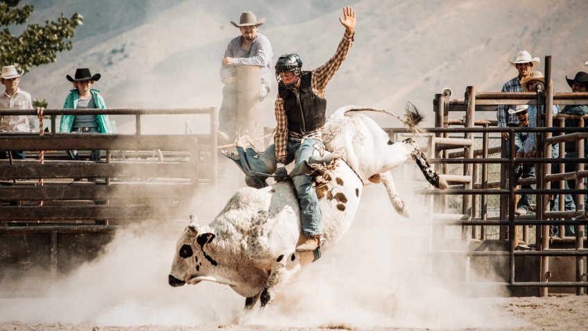 Cowboy riding a bull at rodeo arena.