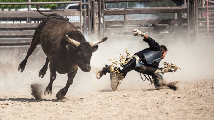 man getting bucked off running bull