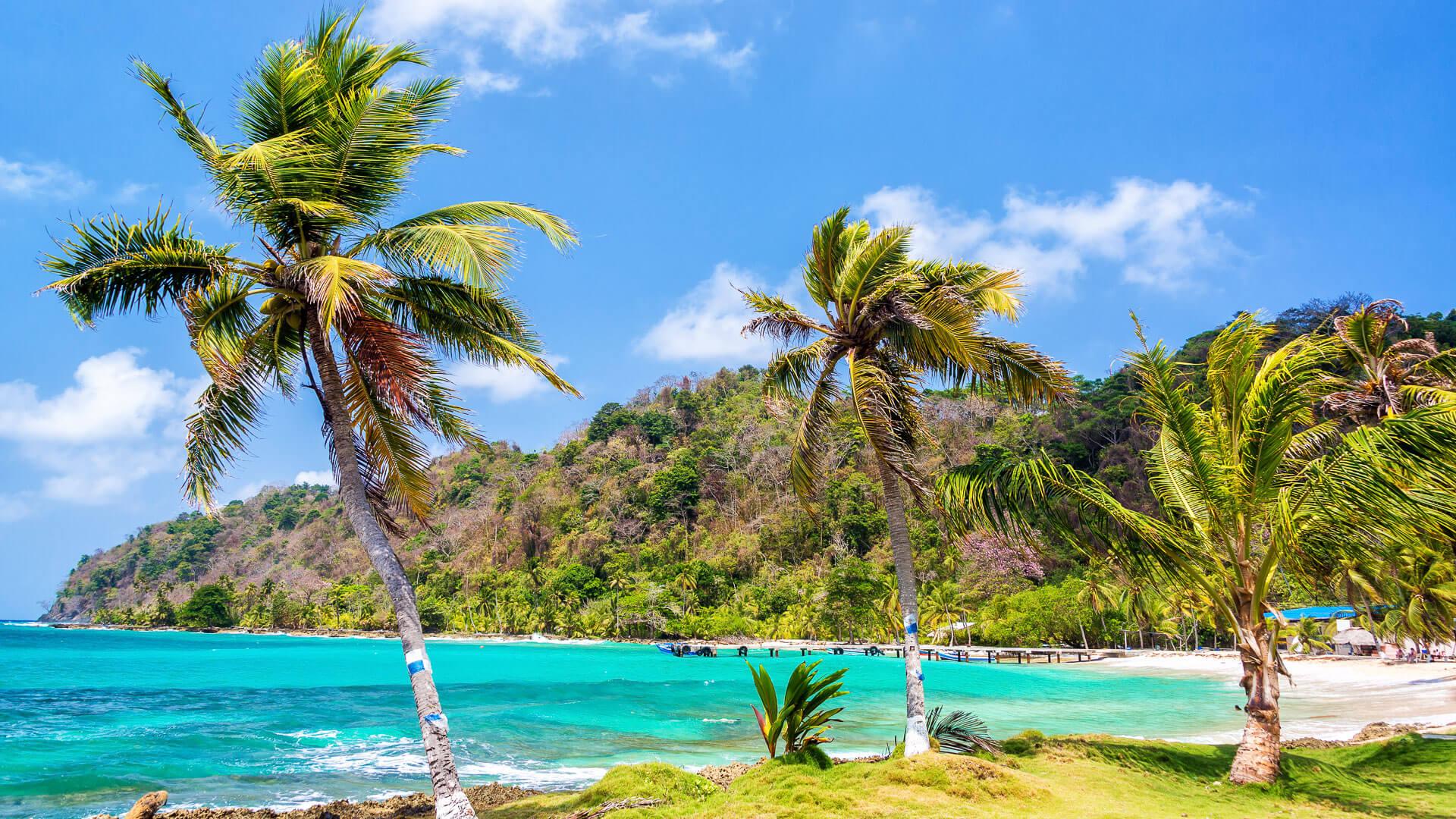 Three palm trees lined up next to the turquoise Caribbean Sea in La Miel, Panama.