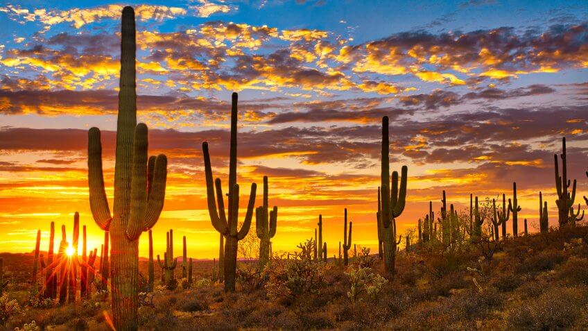Sunset in Sonoran Desert near Phoenix Arizona