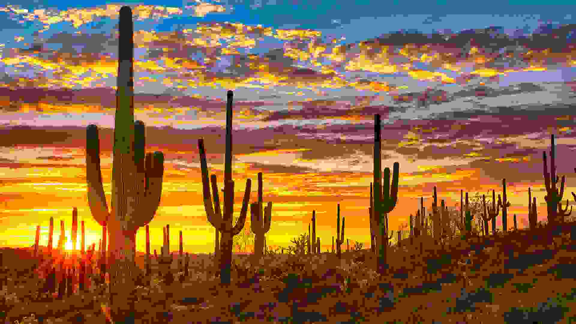 Sunset in Sonoran Desert near Phoenix Arizona