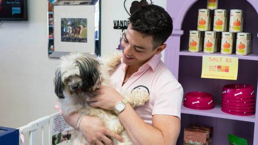 Dr. John Sessa of Vanderpump Dogs Explains the Costs of Being a Puppy Owner