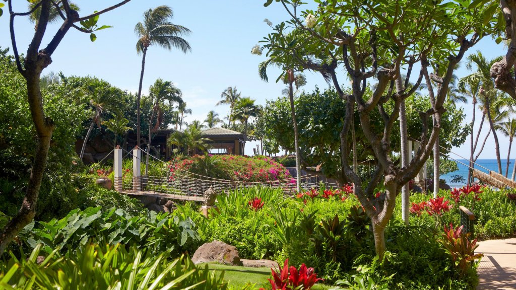 Hyatt Regency Maui Resort and Spa Exterior