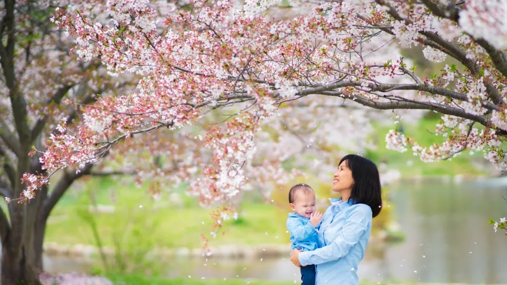 Mother holding daughter outside in the park, enjoying the cherry blossoms together, looking up and watching the petals fall.