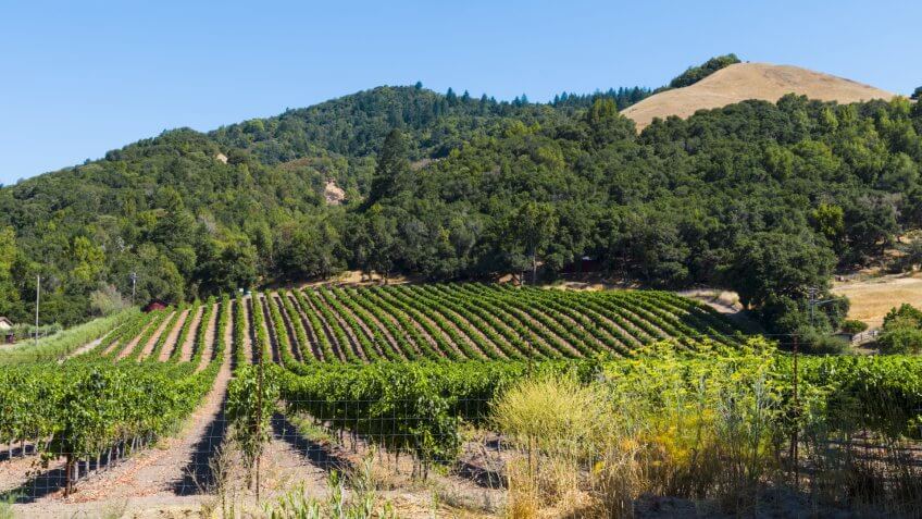 Santa Rosa California
