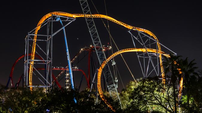 Tigris at Busch Gardens Tampa Bay in Tampa, Florida