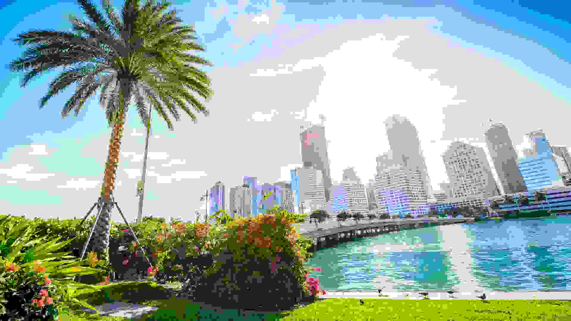 Sunshine Miami.