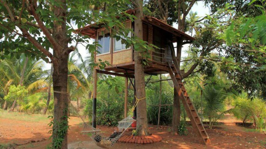 Tropical Treehouse Near Goa, India