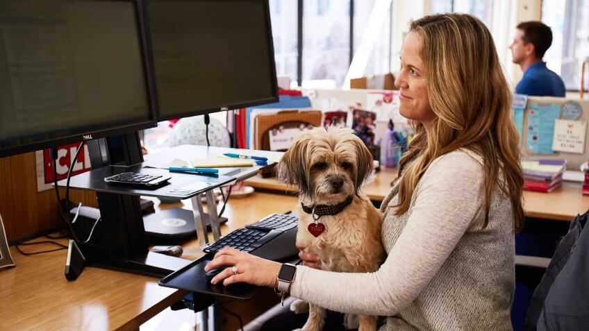 Clif Bar employee with her dog in her lap