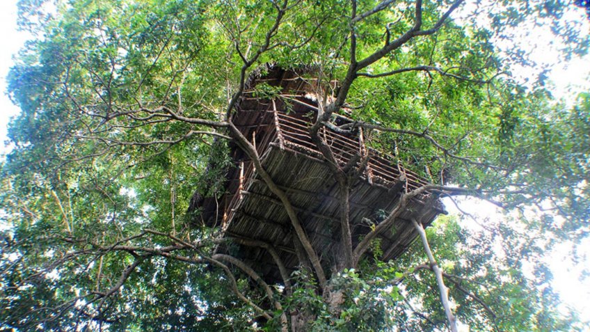 Rain Forest Treehouse in Sigiriya, Sri Lanka