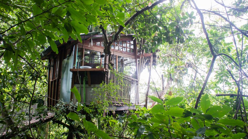 Eco-Friendly Treehouse Near Paraty, Brazil