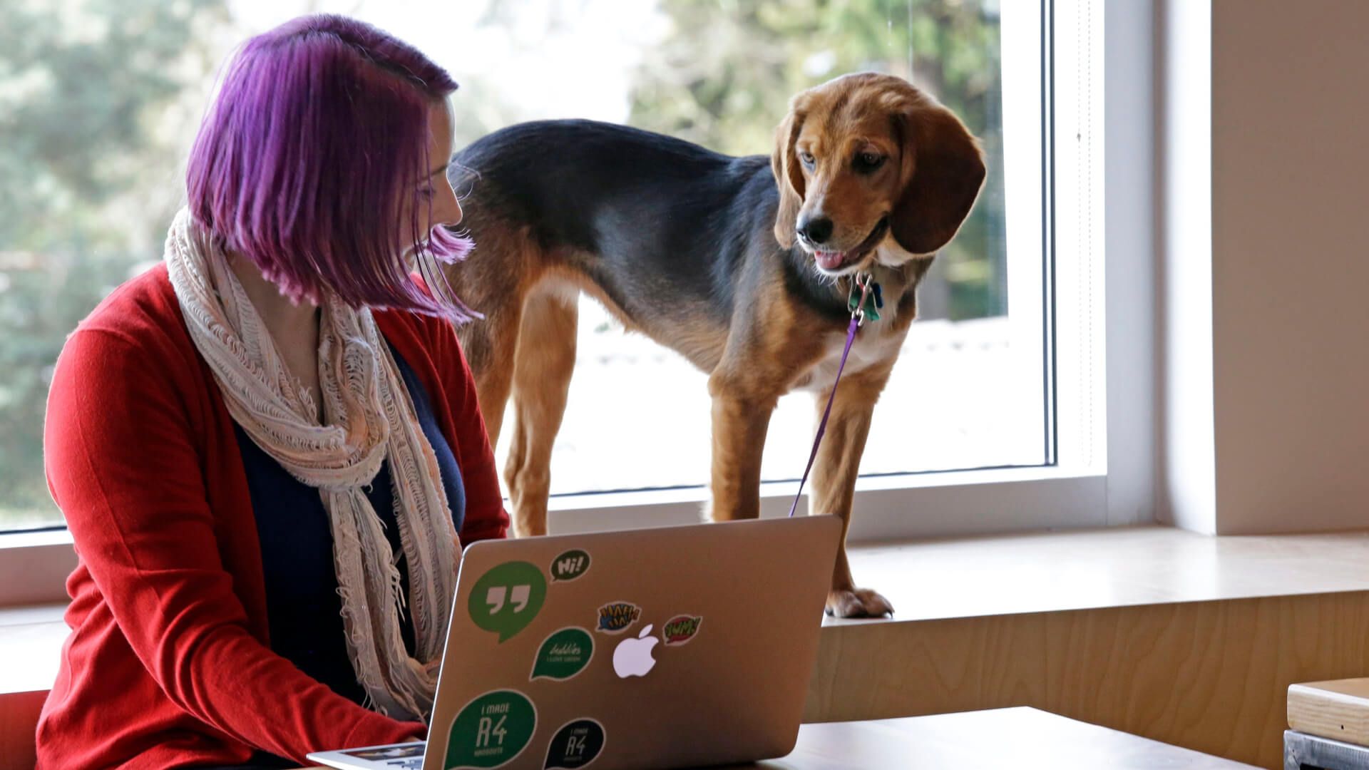 20 PetFriendly Companies That Allow Dogs at Work GOBankingRates