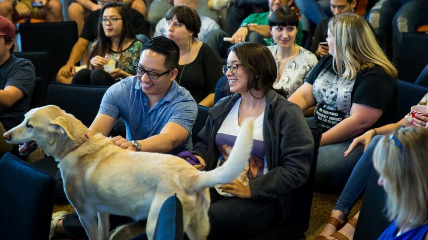Employees at Kabbage office in Atlanta petting a dog