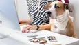 26 Money-Making Skills You Can Lea in Less Than a Year