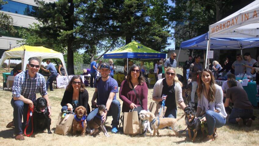 Workday company employees with their dogs